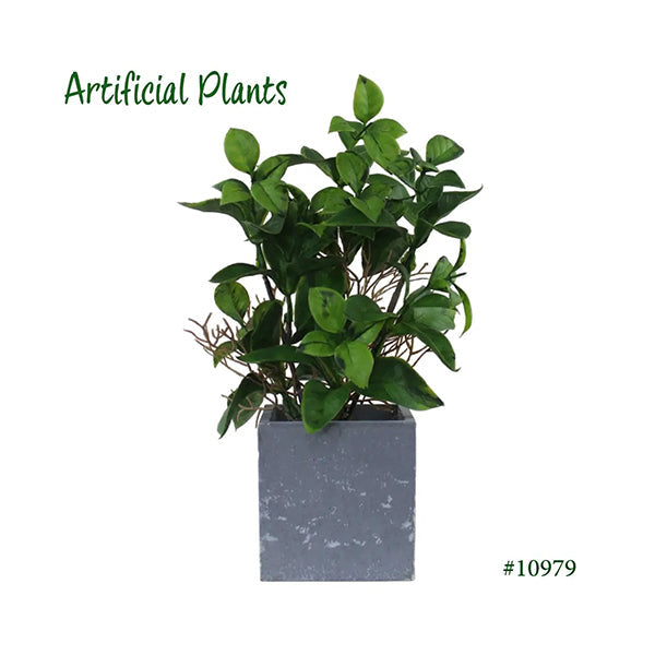 Mobileleb Decor Green / Brand New Artificial Plants Potted - 10979
