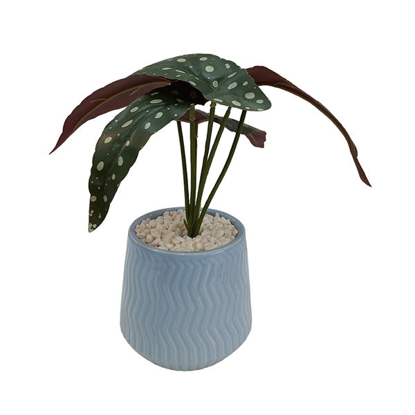 Mobileleb Decor Blue / Brand New Artificial Plants Potted - 98568