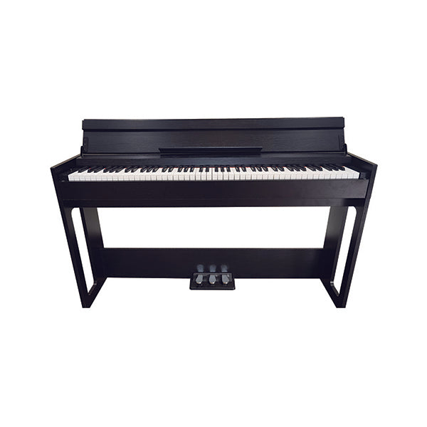 ARA Hobbies & Creative Arts Black / Brand New Ara Digital Keyboard Piano Portable 88 Keys with Hammer Action and Three Pedals - HAM88K