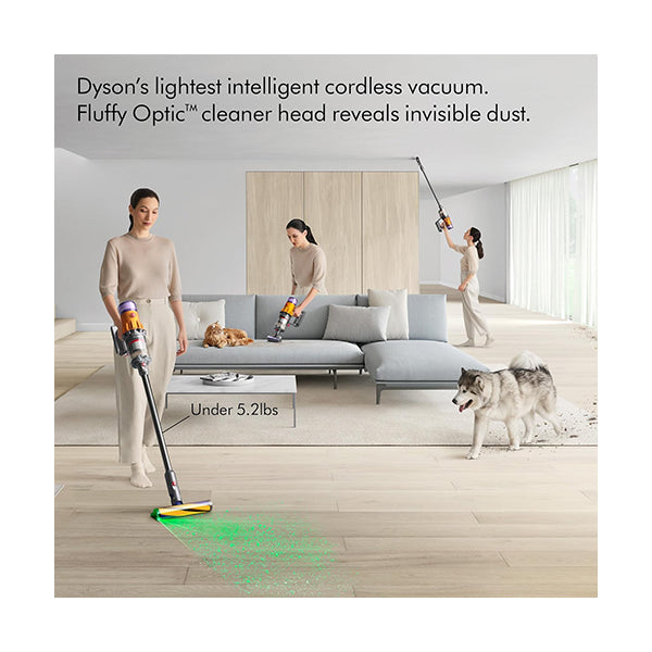 Dyson Household Appliances Silver / Brand New / 1 Year Dyson V12 Detect Slim Cordless Vacuum Cleaner