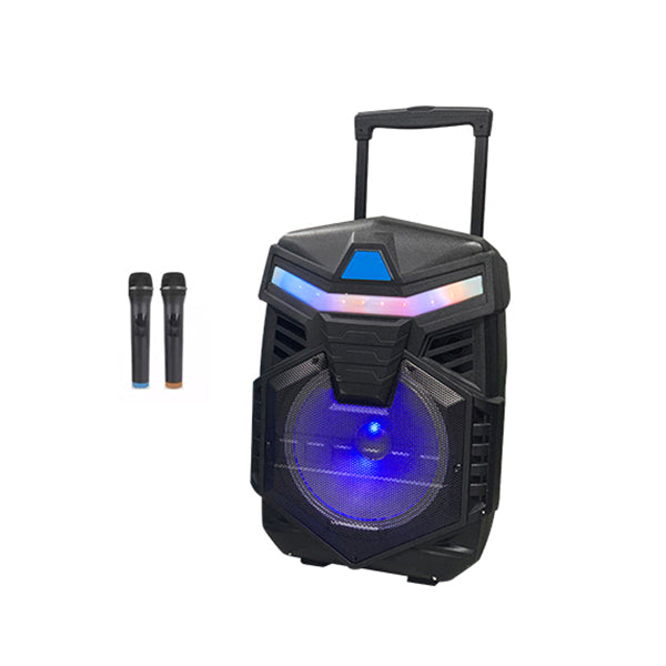 HAY-POWER Audio Black / Brand New Portable Trolley Speaker 12" 2 Wireless Mics TS1205