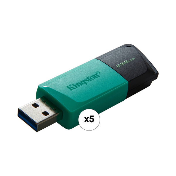 Kingston Electronics Accessories Brand New / 5 Years Kingston 256GB DataTraveler Exodia M USB Flash Drive, USB 3.2 Gen 1 Type-A Connector, DTXM/256GB