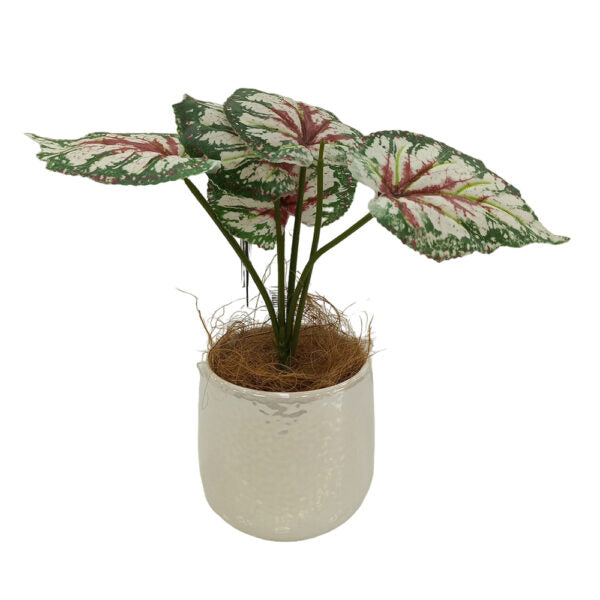Mobileleb Decor Brand New / Model-1 Artificial Plants Potted #0213-23 - 98405