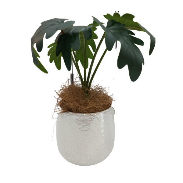 Mobileleb Decor Brand New / Model-2 Artificial Plants Potted #0213-23 - 98405