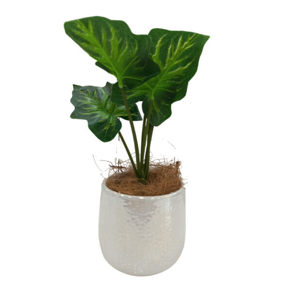 Mobileleb Decor Brand New / Model-4 Artificial Plants Potted #0213-23 - 98405