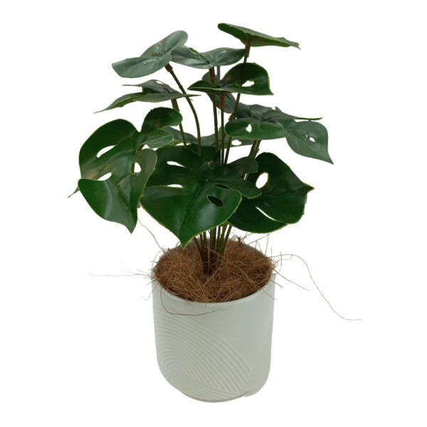 Mobileleb Decor Brand New / Model-1 Artificial Plants Potted #0213-47 - 98410