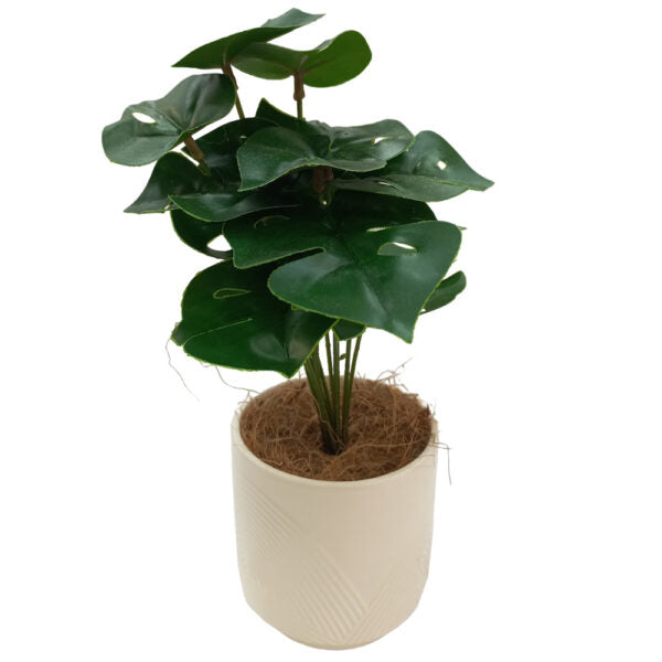 Mobileleb Decor Brand New / Model-2 Artificial Plants Potted #0213-47 - 98410