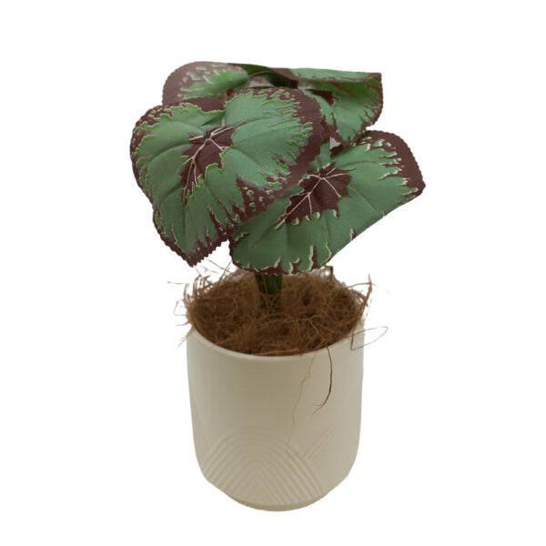 Mobileleb Decor Brand New / Model-6 Artificial Plants Potted #0213-47 - 98410