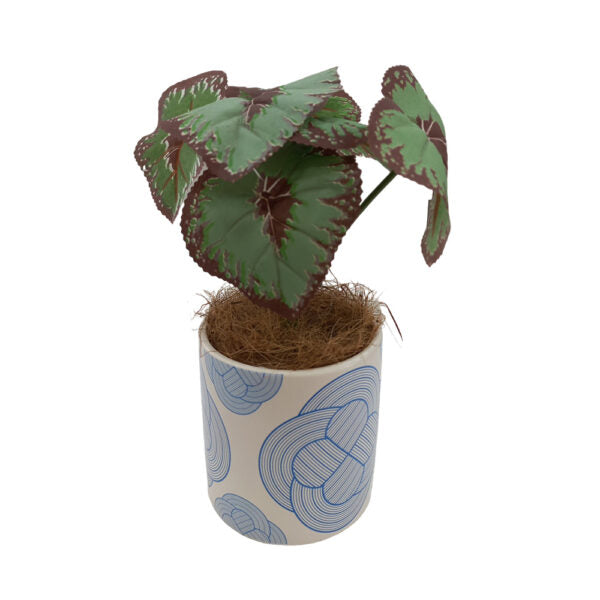 Mobileleb Decor Brand New / Model-1 Artificial Plants Potted #0213-52 - 98413