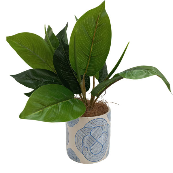 Mobileleb Decor Blue / Brand New Artificial Plants Potted #0213-56 - 98417