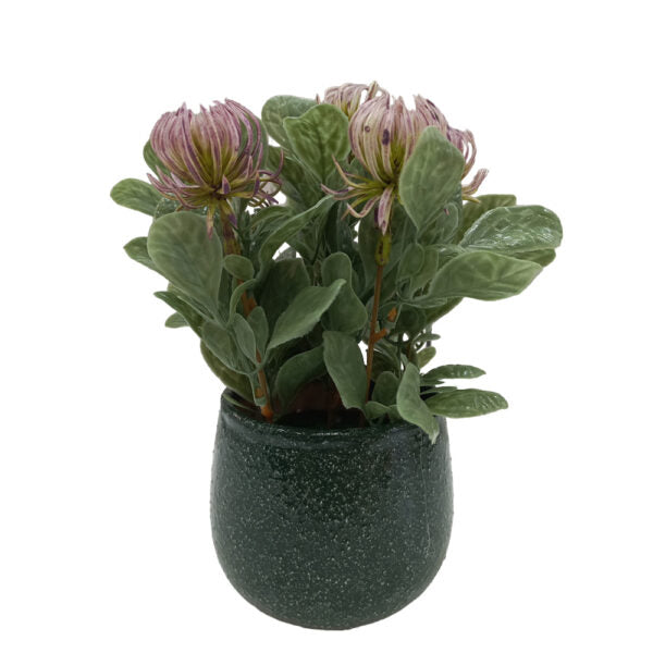 Mobileleb Decor Navy / Brand New Artificial Plants Potted #0213-7 - 98391