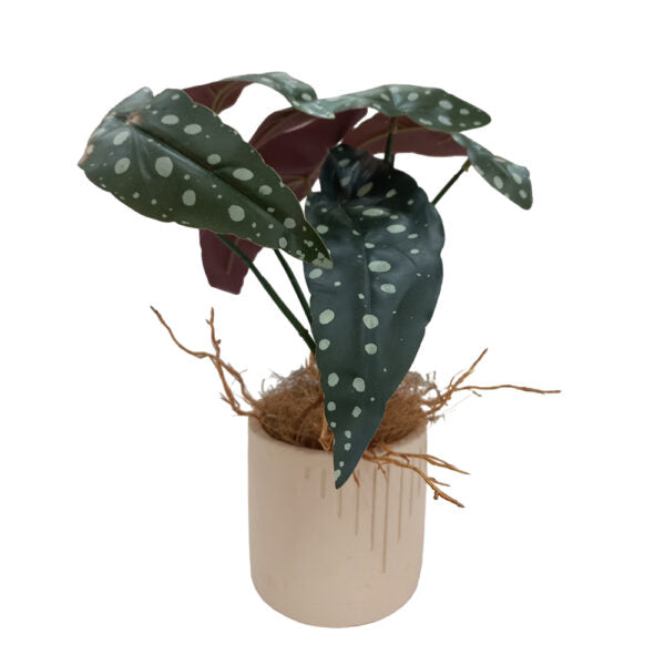 Mobileleb Decor Brand New / Model-1 Artificial Plants Potted #213-31 - 98404