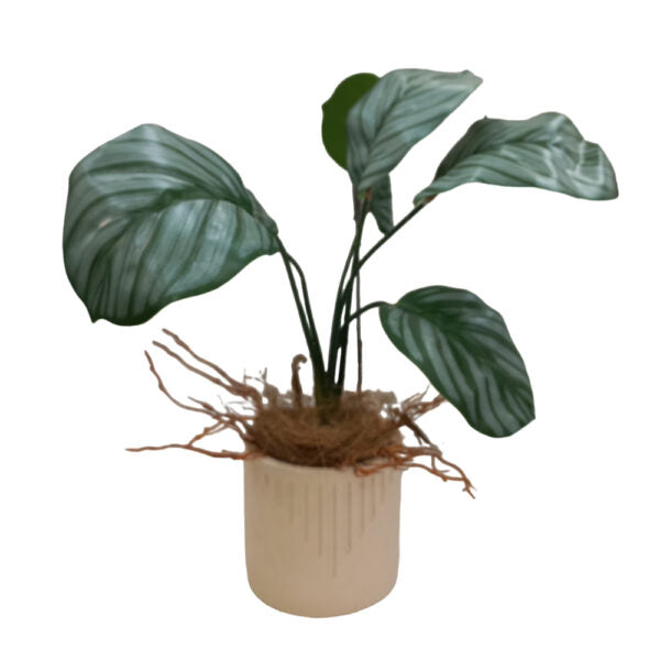 Mobileleb Decor Brand New / Model-3 Artificial Plants Potted #213-31 - 98404