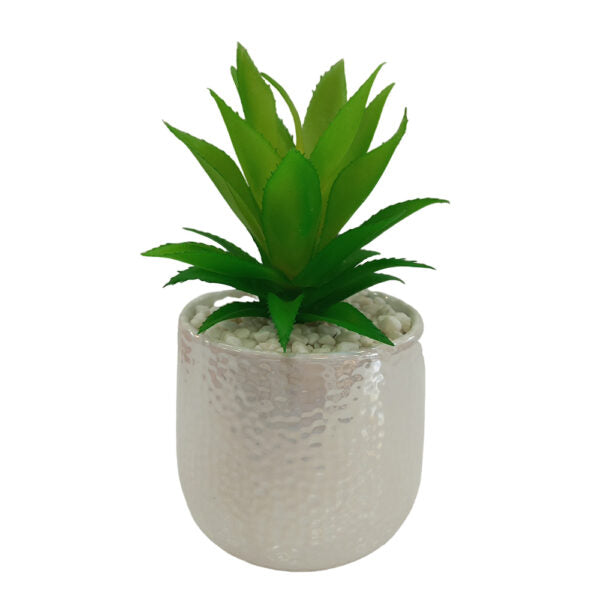 Mobileleb Decor Brand New / Model-1 Artificial Plants Potted #213-46 - 98409