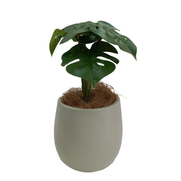 Mobileleb Decor Brand New / Model-1 Artificial Plants Potted #553 - 98553