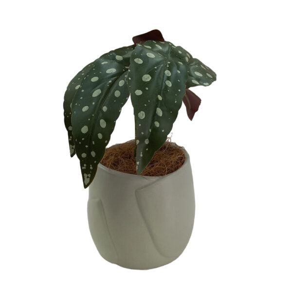 Mobileleb Decor Brand New / Model-3 Artificial Plants Potted #553 - 98553