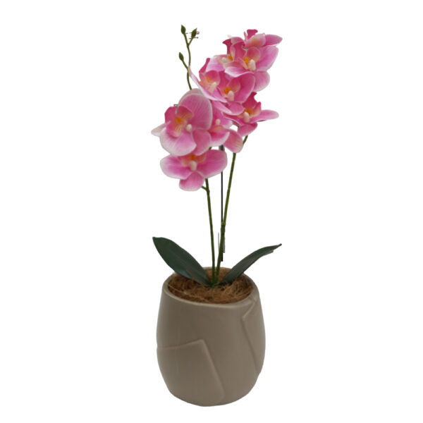 Mobileleb Decor Brand New / Model-2 Artificial Plants Potted #554 - 98554