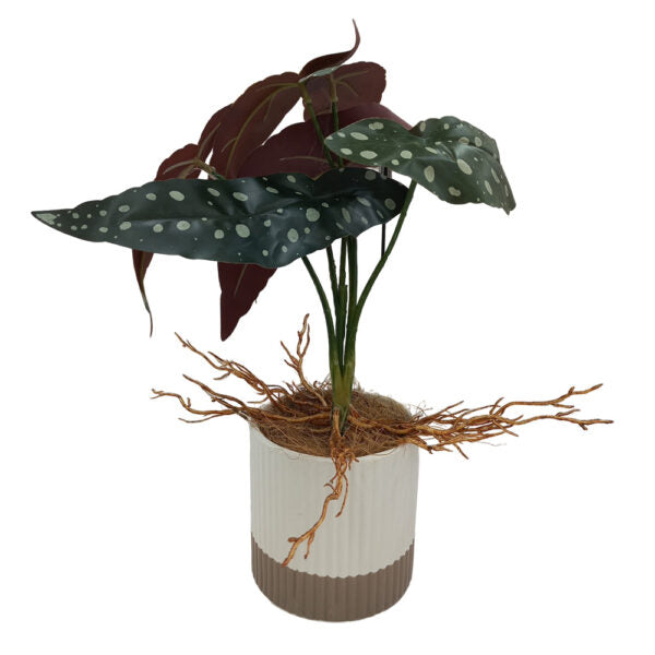 Mobileleb Decor Brand New / Model-1 Artificial Plants Potted #555 - 98555
