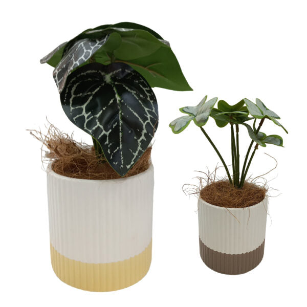 Mobileleb Decor Artificial Plants Potted #556 - 98556