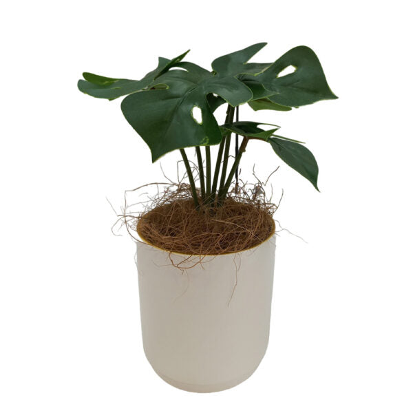 Mobileleb Decor White / Brand New Artificial Plants Potted #557 - 98557