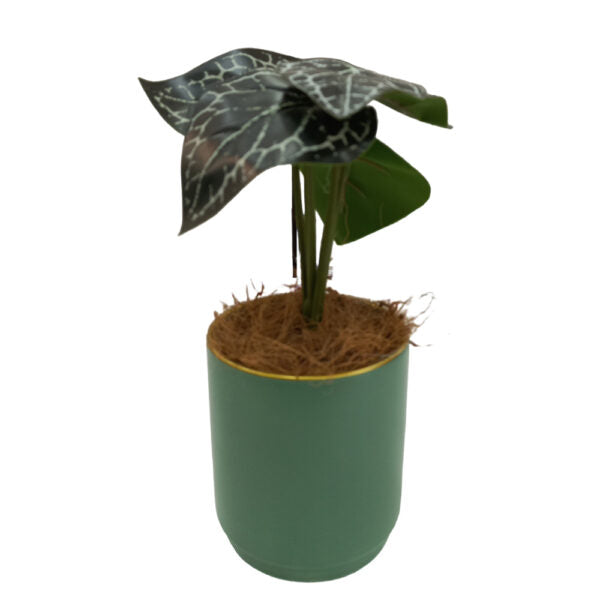 Mobileleb Decor Green / Brand New Artificial Plants Potted #557 - 98557