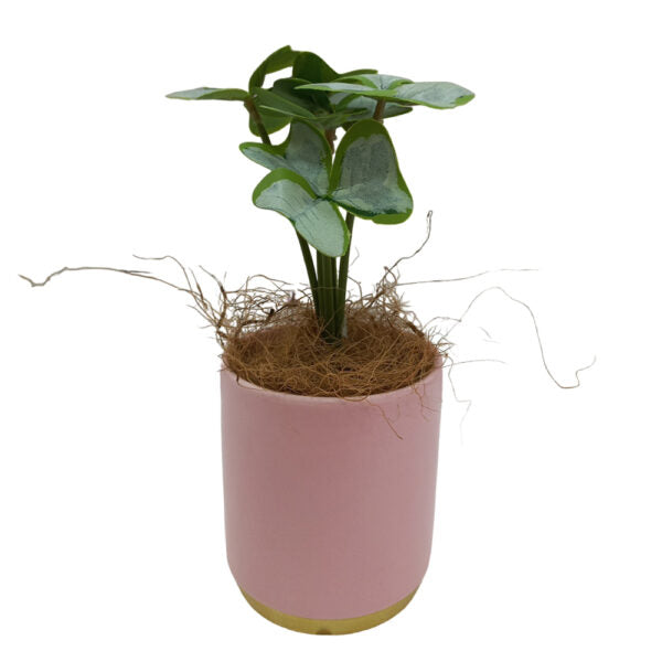 Mobileleb Decor Pink / Brand New Artificial Plants Potted #557 - 98557