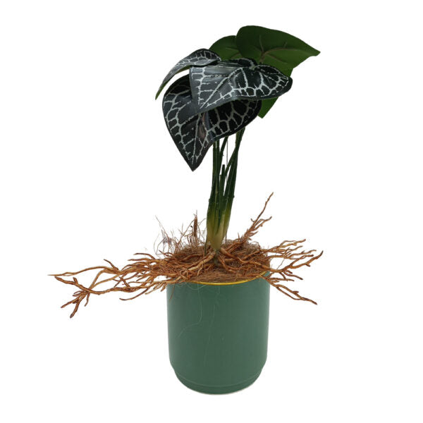 Mobileleb Decor Brand New / Model-1 Artificial Plants Potted #558 - 98558