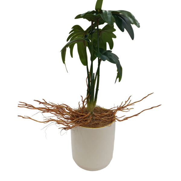 Mobileleb Decor Brand New / Model-2 Artificial Plants Potted #558 - 98558