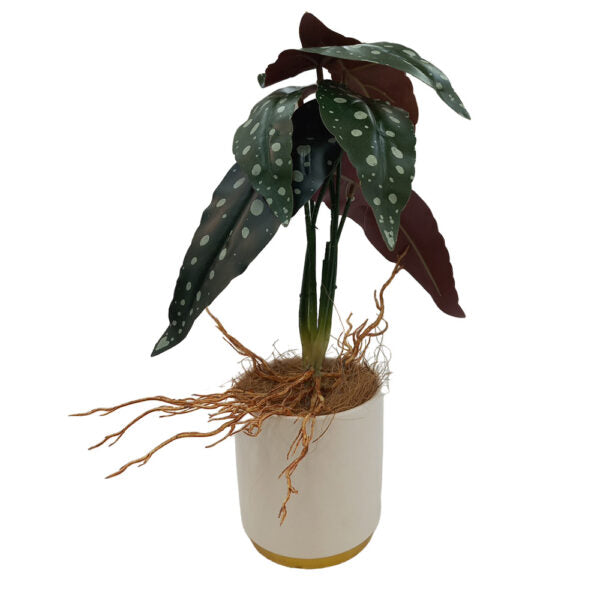 Mobileleb Decor Brand New / Model-4 Artificial Plants Potted #558 - 98558