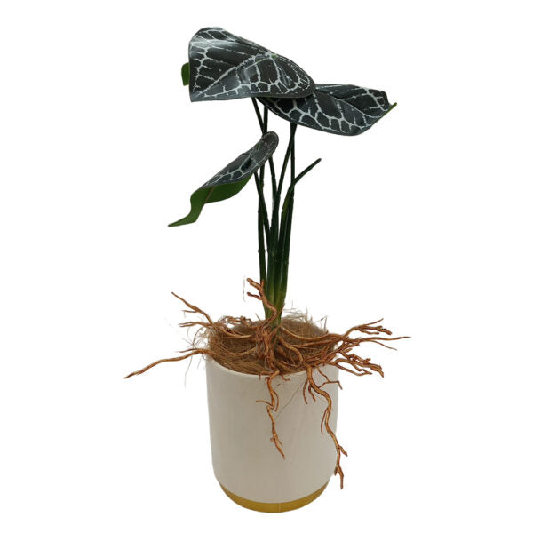 Mobileleb Decor Brand New / Model-5 Artificial Plants Potted #558 - 98558