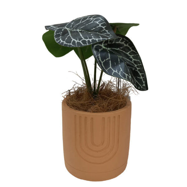 Mobileleb Decor Brand New / Model-2 Artificial Plants Potted #560 - 98560