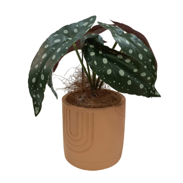 Mobileleb Decor Brand New / Model-3 Artificial Plants Potted #560 - 98560