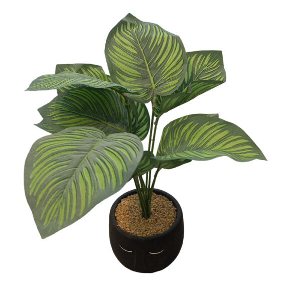 Mobileleb Decor Brand New / Model-2 Artificial Plants Potted #561 - 98561