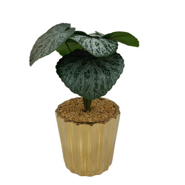 Mobileleb Decor Brand New / Model-5 Artificial Plants Potted #564 - 98564