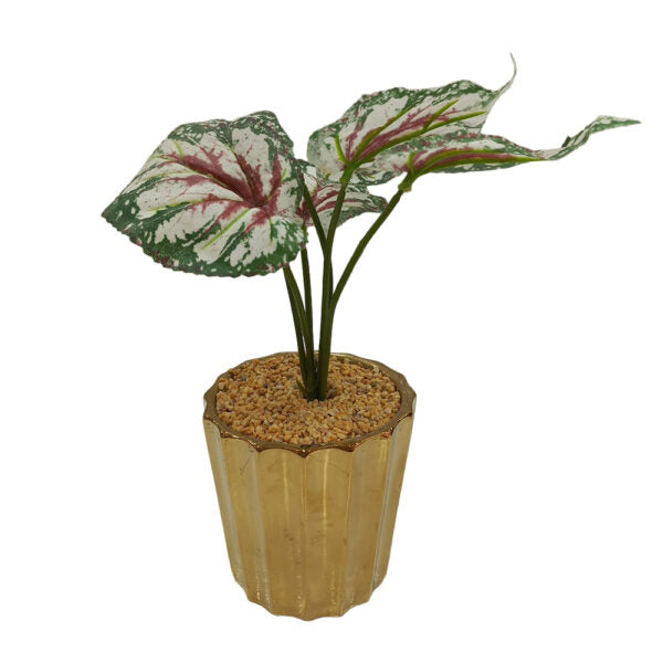 Mobileleb Decor Brand New / Model-1 Artificial Plants Potted #564 - 98564