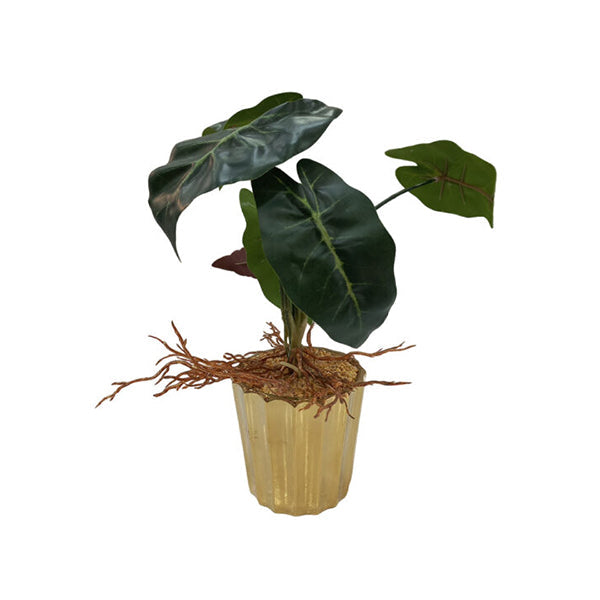 Mobileleb Decor Brand New / Model-2 Artificial Plants Potted #566 - 98566