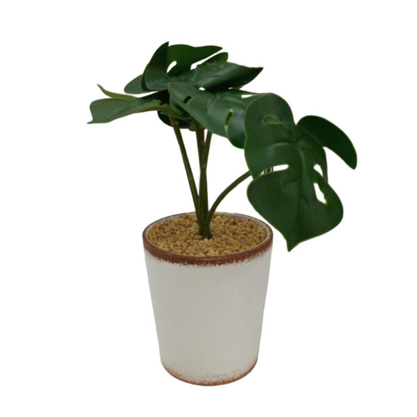 Mobileleb Decor Green / Brand New Artificial Plants Potted #567 - 98567