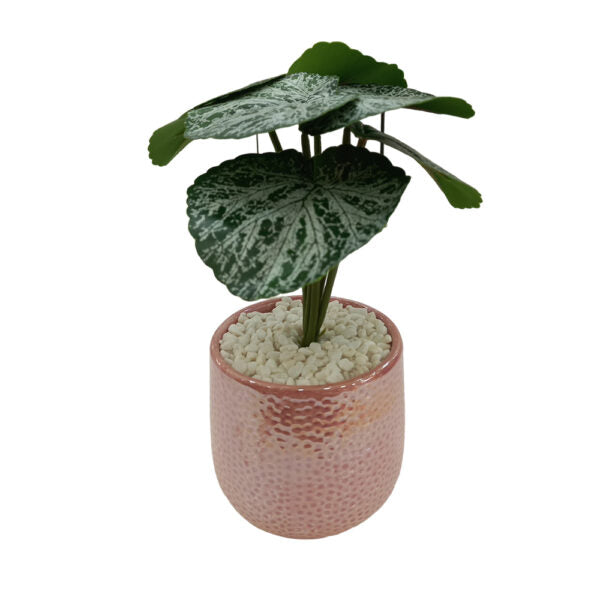 Mobileleb Decor Brand New / Model-2 Artificial Plants Potted #569