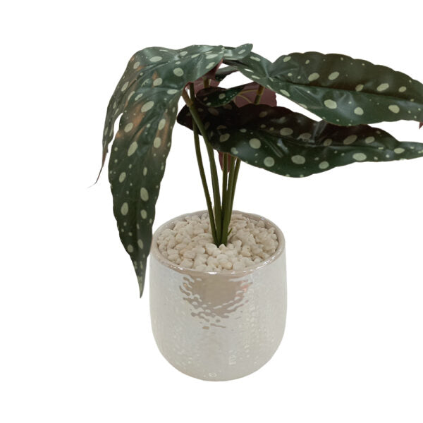 Mobileleb Decor Brand New / Model-3 Artificial Plants Potted #569