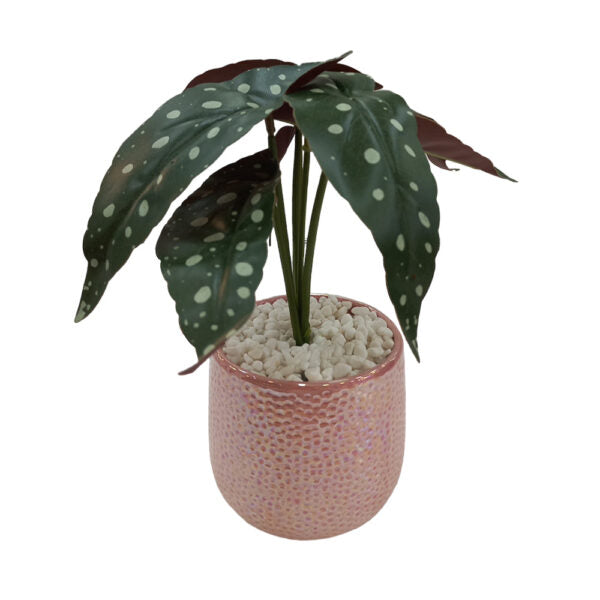 Mobileleb Decor Brand New / Model-5 Artificial Plants Potted #569