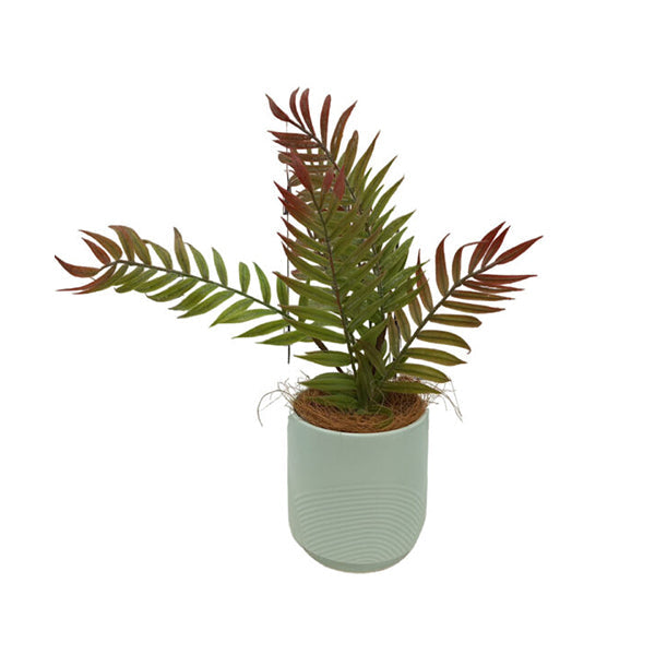 Mobileleb Decor Brand New / Model-5 Artificial Plants Potted #570 - 98570