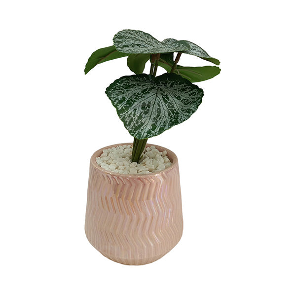 Mobileleb Decor Pink / Brand New Artificial Plants Potted - 98568