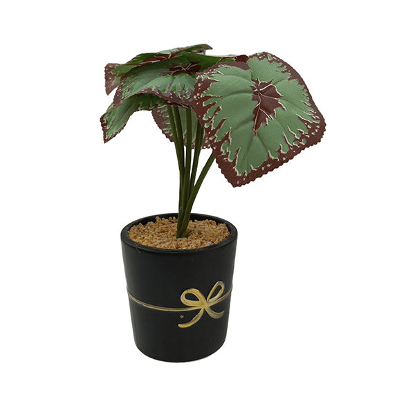 Mobileleb Decor Black / Brand New Artificial Plants Potted - 98572