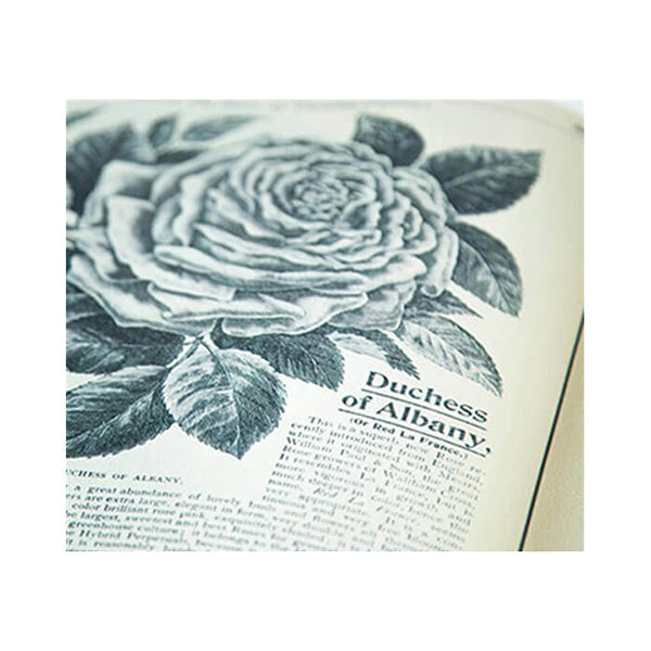 Mobileleb Decor Brand New / Roses Book Shape Wall Portrait - 10972