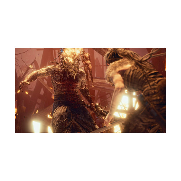 Hellblade: Senua's Sacrifice for PS4 Best Price in Lebanon – Mobileleb