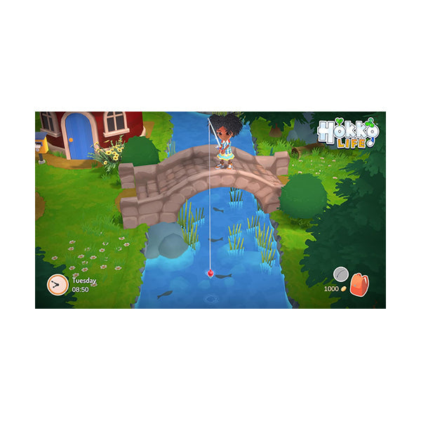 Hokko online life ps4