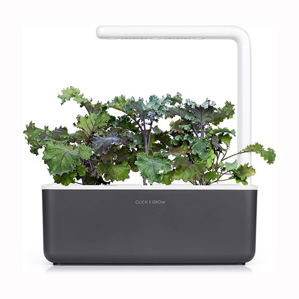 Click and Grow Red Kale Plant Pods Price in Lebanon – Mobileleb