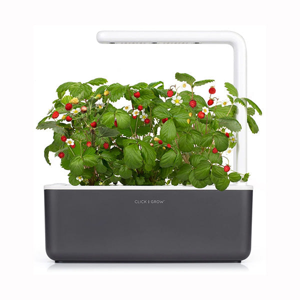 Click & Grow Dark Grey / Brand New Click and Grow The Smart Garden 3, Available in Different Colors