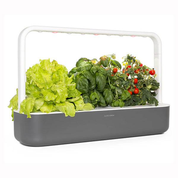 Click & Grow Dark Grey / Brand New Click and Grow The Smart Garden 9, Available in Different Colors